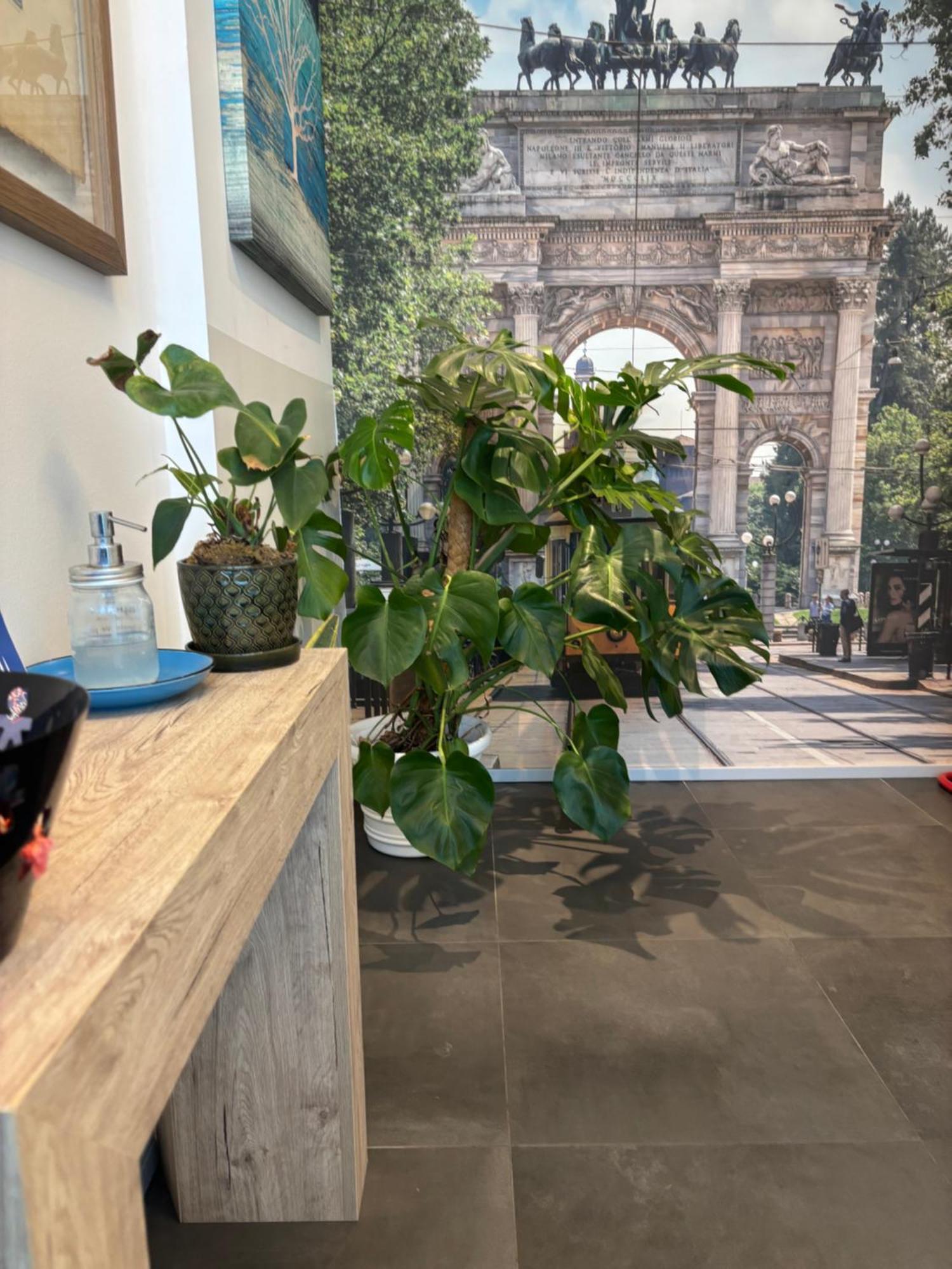 Enjoy Garden - Flavio Baracchini 9 - Rooms ミラノ エクステリア 写真